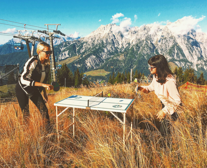 table tennis table